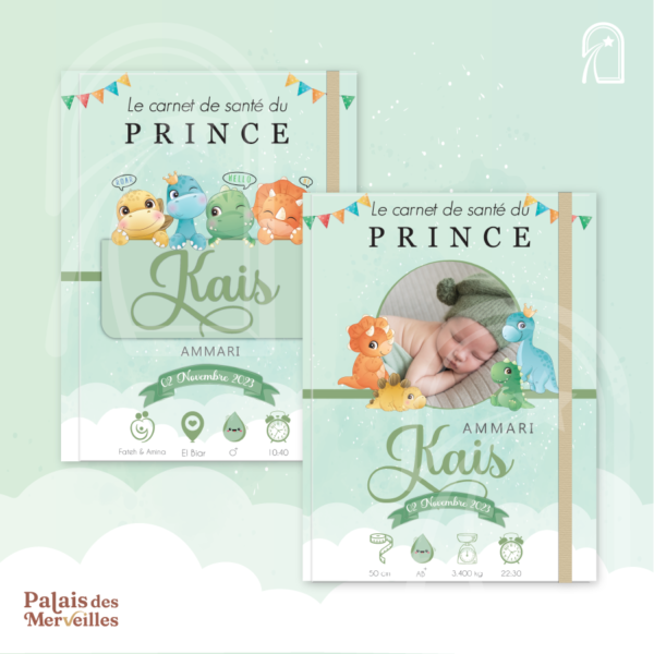 Couverture du carnet de santé Garçon - Les Petits Dinos
