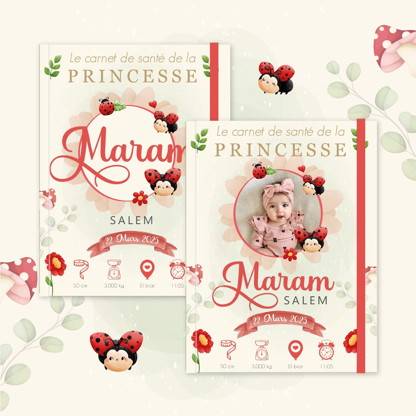 Couverture du carnet de santé Fille - Lady bug